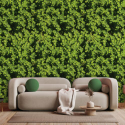 Large Leaf Tropical Wallpaper | Leaves 009 Wallpaper