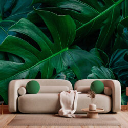 Dark Monstera Leaf Wallpaper | Leaves 054 Wallpaper