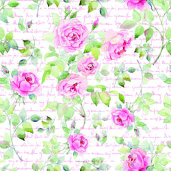 Watercolor Rose Script Artistic Wallpaper | Floral 138