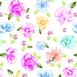 Soft Pastel Rose Watercolor Wallpaper| Floral 167