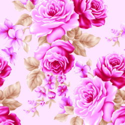 Blush Pink Rose Wallpaper | Floral 178