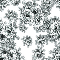 Monochrome Botanical Sketch Wallpaper | Floral 192