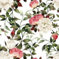 Vintage Watercolor Rose Garden Wallpaper | Floral 227